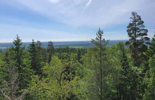 4 Person Holiday Home in Dals Rostock - Foto 14