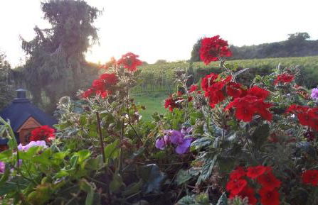 Zum Rebberg Ferienwohnungen - Foto 16