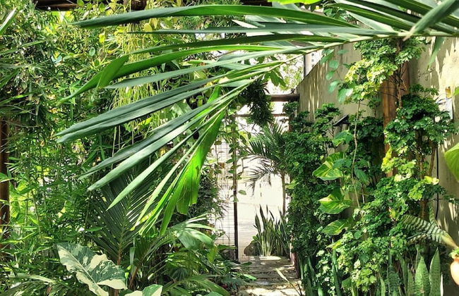 Residencial Casa Flor Atelier Botânico, Ponta Negra - Foto 2