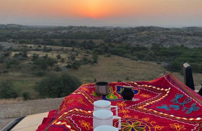 Safari privé au Jawai Dam - Photo 3