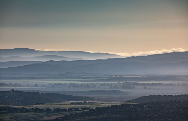 Las Palmeras del Califa - Foto 48