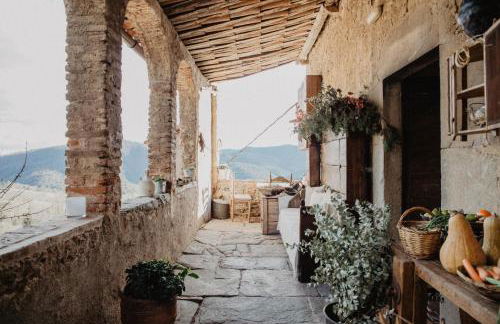 Mas el Mir - Foto 70