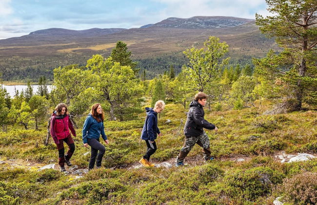 12 Person Holiday Home in Idre - Foto 10