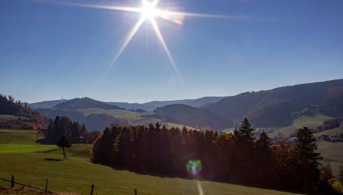 Ferienwohnung Emde - Foto 5