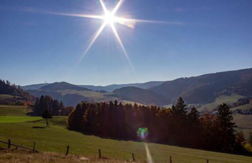 Ferienwohnung Emde - Foto 5