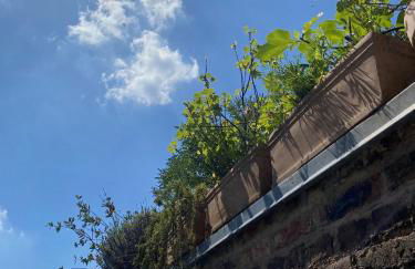 Zehuus mit Domblick und Dachterrasse - Photo 11