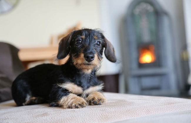 City Apartments Mühlhausen - Photo 65