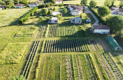 DOMAINE D'ELUSA - Photo 22