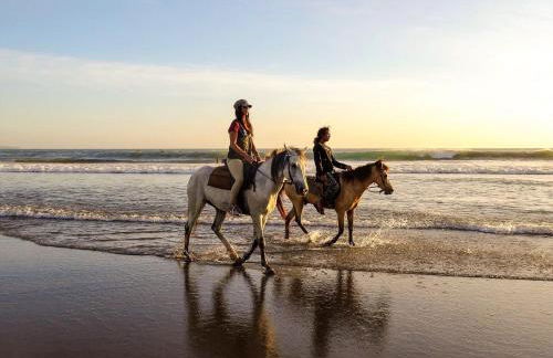 Ca' Savio terramare - Foto 45