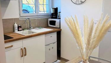 Studio Le Plum'Art, 10mn Zoo de Beauval avec jardin - Photo 3