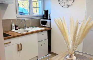 Studio Le Plum'Art, 10mn Zoo de Beauval avec jardin - Foto 3