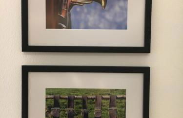 Bergelemente im Hochwald - Foto 12