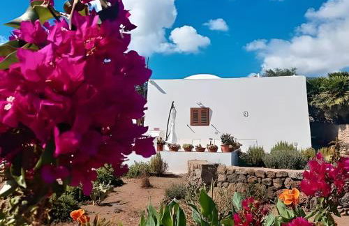 Dammuso Pantelleria - Fiori D'Ossidiana - Foto 41