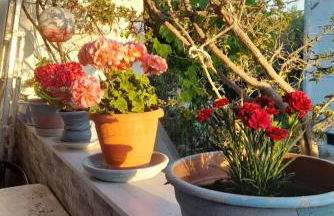 Cozy maisonette in Pefkochori Chalkidiki - Photo 41