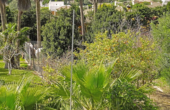 SUEÑA LA BREÑA - Foto 1