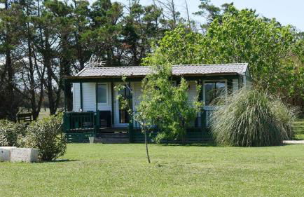 MAS MAURANE-Le Platane avec SPA privé aux portes d'ARLES - Foto 7