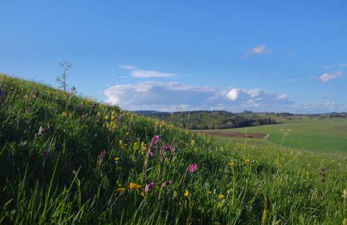 Alb Chalet - Foto 21