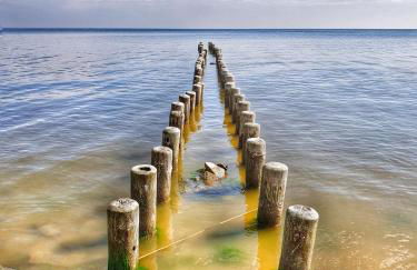 Stettiner Haff Nebengebäude - Foto 27