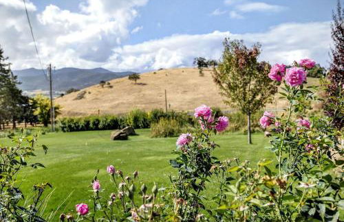 Meadowsweet Farm- Sleeps 18, Outdoor Kitchen - Foto 10