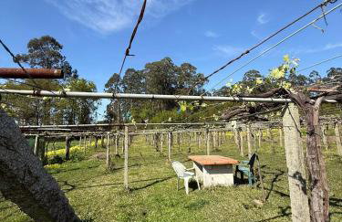 Finca Escusas Sanxenxo - Foto 32