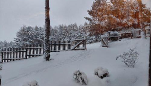 Sosnowy zakątek odpocznij tu - Foto 5