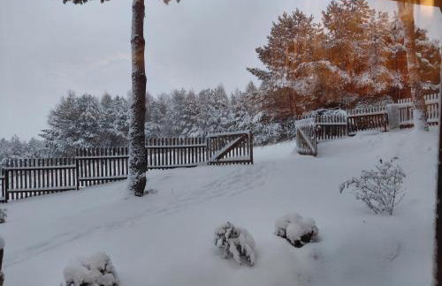Sosnowy zakątek odpocznij tu - Foto 5