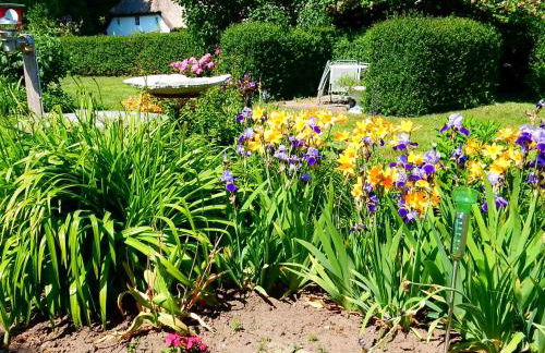 FeWo WE 6402 Ferien u Angeln auf Rügen-ruhige Lage,Garten! - Foto 9