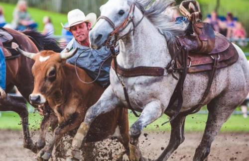 Sugartown Shanty Ellicottville - Foto 75