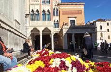 Mirella's House - Photo 26