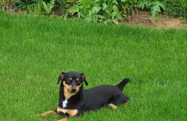 Nad Krolówką - Foto 27