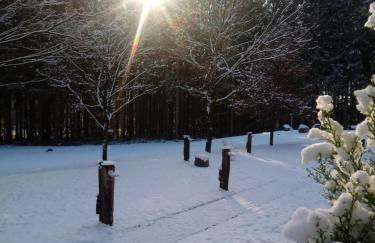 Gästehaus Falkenhof - Foto 11