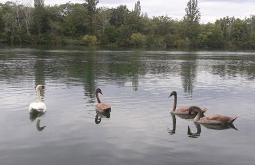 Ferienwohnung Sternenhof - Foto 10