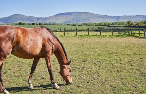 Host & Stay - Finch House - Foto 14