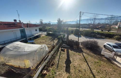 River House - Photo 65