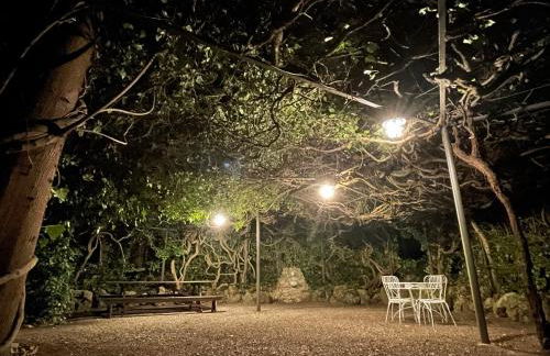 Casale Scola Cetona - Foto 6