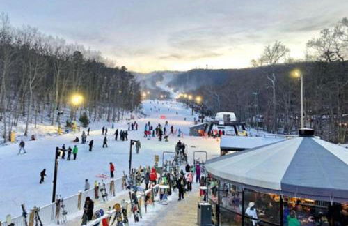 Massanutten Resort - Foto 65