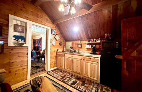 Big Bear Log cabin - Photo 6