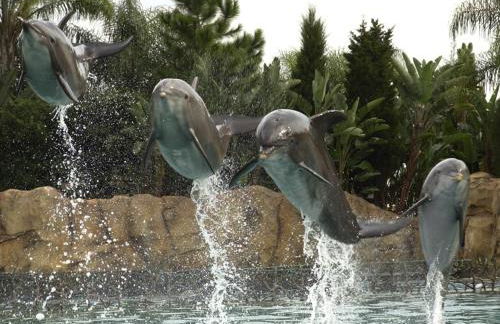 Orlando Family Friendly Home - Foto 14