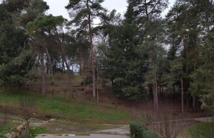 Agriturismo Podere Montese - Foto 130