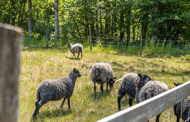 Ilingetorp - Foto 26