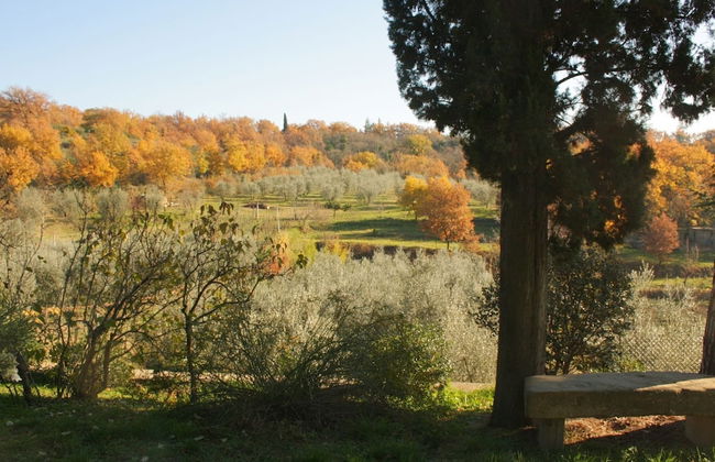 Blissful Tuscan Hideaway - Foto 41