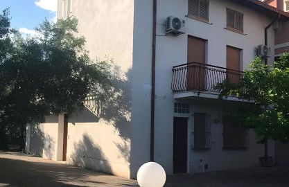 Tra gli ulivi - Foto 1