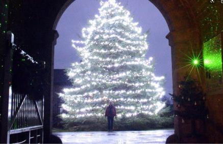 The Orchard House - Foto 38