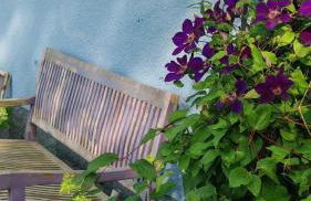 Ferienhaus VILLA ZAUBERBLICK am Rennsteig Frankenwald FREISTEHEND naturnah HUNDEFREUNDLICH eingezäunt - Foto 46