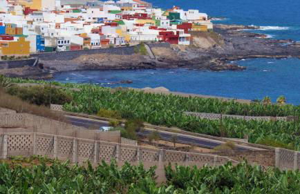Las Pardelas, Ferienhaus mit Meer-, Küsten- und Bergblick im grünen Norden Teneriffas - Foto 39