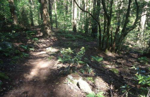 Quiet Place - Foto 38