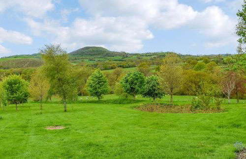 Field View - Foto 25