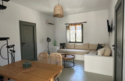 Ammos Andros Accommodation - Photo 18