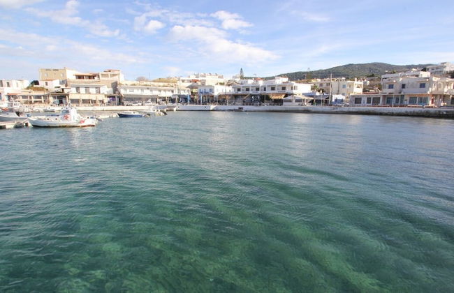 Cosmos by Frangki - Foto 10