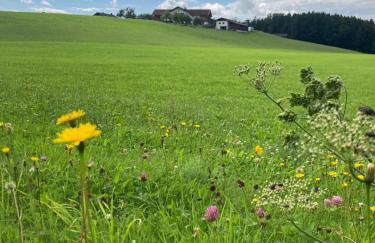 Plattenberger Hof - Photo 8